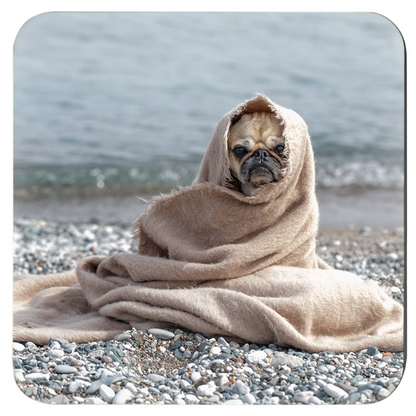 OPULENT DEZIGNZ™ Pug on Rocky Shores Inspirational Coasters